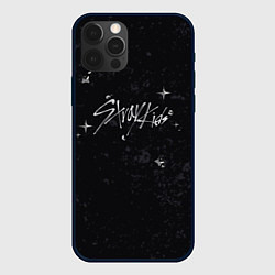 Чехол для iPhone 12 Pro Stray Kids жидкий металл, цвет: 3D-черный