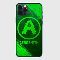 Чехол для iPhone 12 Pro Aerosmith - green gradient, цвет: 3D-черный