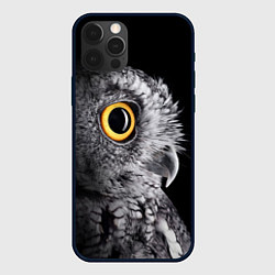 Чехол iPhone 12 Pro Сова - всевидящее око - big picture