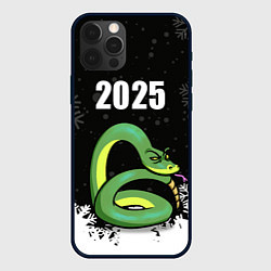 Чехол для iPhone 12 Pro Змея - 2025, цвет: 3D-черный