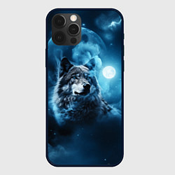 Чехол iPhone 12 Pro Волк ночное синее небо