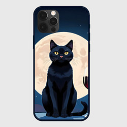 Чехол iPhone 12 Pro Кот с вином под луной