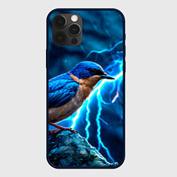 Чехол для iPhone 12 Pro Ласточка в грозу, цвет: 3D-черный