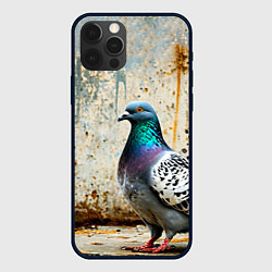 Чехол для iPhone 12 Pro Голубь у грязной стены, цвет: 3D-черный