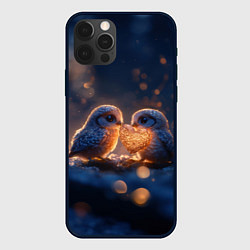 Чехол iPhone 12 Pro Милые влюбленные совушки