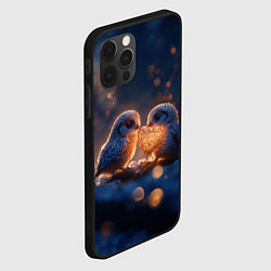 Чехол для iPhone 12 Pro Милые влюбленные совушки, цвет: 3D-черный — фото 2