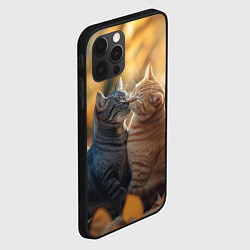 Чехол для iPhone 12 Pro Кот и кошка целуются, цвет: 3D-черный — фото 2