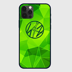 Чехол iPhone 12 Pro Stray Kids green poly