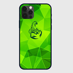 Чехол iPhone 12 Pro Scorpions green poly