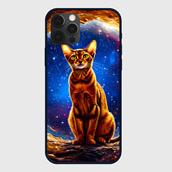 Чехол iPhone 12 Pro Абиссинская кошка в космосе