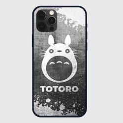 Чехол iPhone 12 Pro Totoro - grey gradient