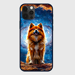 Чехол iPhone 12 Pro Финский лаппхунд в космосе