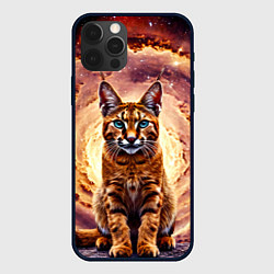 Чехол iPhone 12 Pro Каракет в космосе