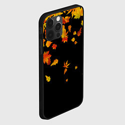 Чехол для iPhone 12 Pro Осенние листья на черном, цвет: 3D-черный — фото 2