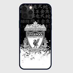 Чехол iPhone 12 Pro Liverpool японские символы краски
