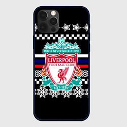 Чехол iPhone 12 Pro Ливерпуль текстура триколор зима