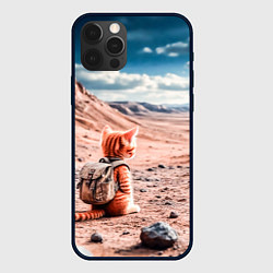Чехол iPhone 12 Pro Котёнок путешественник в пустыне