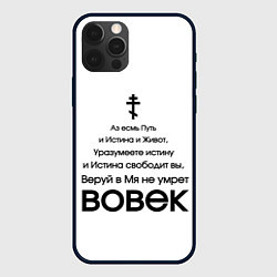 Чехол iPhone 12 Pro Путь и истина и живот черный арт