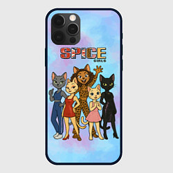 Чехол iPhone 12 Pro Spice girls кошки из 90х