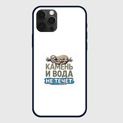 Чехол iPhone 12 Pro Под лежачий камень бежевый арт