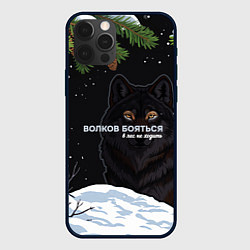 Чехол iPhone 12 Pro Волк призрак темный арт