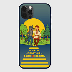 Чехол iPhone 12 Pro Волков не бояться полноцветный орнамент