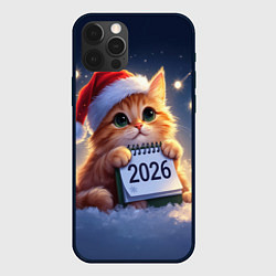 Чехол для iPhone 12 Pro Кот который ждет новый год, цвет: 3D-черный