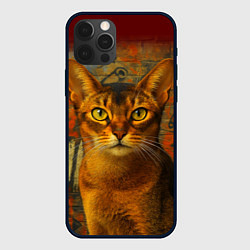 Чехол iPhone 12 Pro Абиссинская кошка на фоне кирпичной стены с граффи