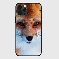 Чехол для iPhone 12 Pro Взгляд лисы, цвет: 3D-черный