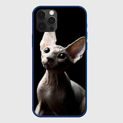 Чехол iPhone 12 Pro Котик сфинкс