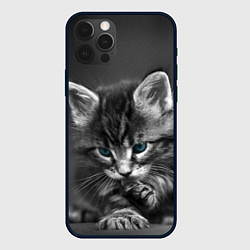 Чехол iPhone 12 Pro Голубоглазый котенок