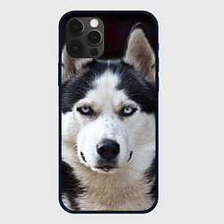 Чехол для iPhone 12 Pro Глаза хаски, цвет: 3D-черный