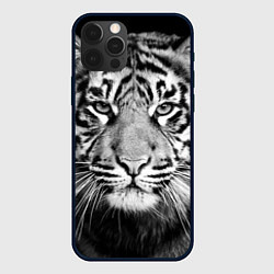 Чехол iPhone 12 Pro Красавец тигр