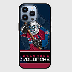 Чехол iPhone 13 Pro Colorado Avalanche