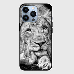 Чехол для iPhone 13 Pro Милый лев, цвет: 3D-черный