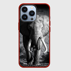 Чехол iPhone 13 Pro Бегущий слон
