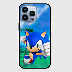 Чехол для iPhone 13 Pro Sonic Boom, цвет: 3D-черный