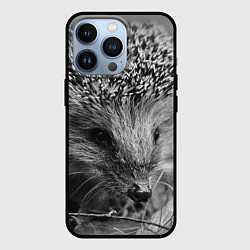 Чехол iPhone 13 Pro Взгляд ёжика