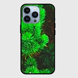 Чехол для iPhone 13 Pro Зелёная ель, цвет: 3D-черный