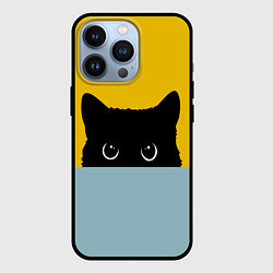 Чехол iPhone 13 Pro Черная кошка
