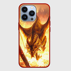 Чехол для iPhone 13 Pro Дракон, цвет: 3D-красный