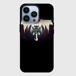 Чехол iPhone 13 Pro Destiny 9