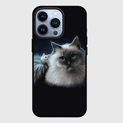 Чехол для iPhone 13 Pro Кошка и мышка, цвет: 3D-черный