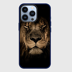 Чехол для iPhone 13 Pro Львиный взгляд, цвет: 3D-тёмно-синий