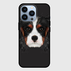 Чехол iPhone 13 Pro Cavalier King Charles