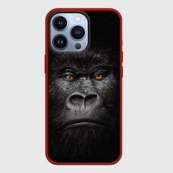 Чехол для iPhone 13 Pro Морда Гориллы, цвет: 3D-красный