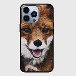 Чехол iPhone 13 Pro Лисичка