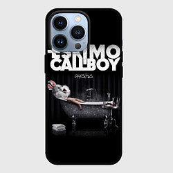 Чехол iPhone 13 Pro Eskimo Callboy: Crystalis