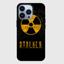 Чехол для iPhone 13 Pro STALKER: Radioactive, цвет: 3D-черный