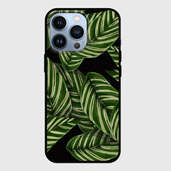 Чехол iPhone 13 Pro Тропические большие листья